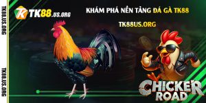 Khám-phá-nền-tảng-Đá-gà-Tk88